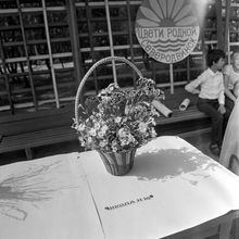 Цветочная композиция школы № 18 | Виды города. 1987 г., г.Северодвинск. Фото #C12646.