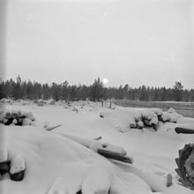 Зимний пейзаж | Виды города. 1987 г., г.Северодвинск. Фото #C13784.