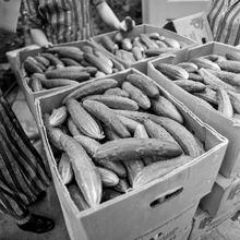 Урожай орурцов | Предприятия. 1987 г., г.Северодвинск. Фото #C11769.