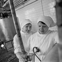 Работницы молокозавода | Предприятия. 1987 г., г.Северодвинск. Фото #C13871.