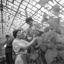 Лосева А.В. и Вохмянина Т.В. | Предприятия. 1987 г., г.Северодвинск. Фото #C12708.