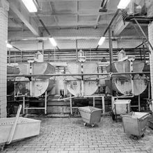 В цехе молочного завода | Предприятия. 1987 г., г.Северодвинск. Фото #C13892.