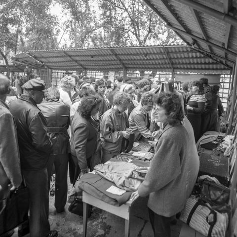 Выставка-продажа в парке | Торговля. 1987 г., г.Северодвинск. Фото #C12509.