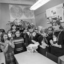 Юннаты | Школа. 1988 г., г.Северодвинск. Фото #C14492.