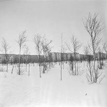 Виды города. 1989 г., г.Северодвинск. Фото #C17555.