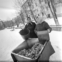 Пищевые отходы | ЖКХ. 1980-e гг., г.Северодвинск. Фото #C16285.
