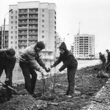 Озеленение | ЖКХ. 1980-e гг., г.Северодвинск. Фото #C7686.