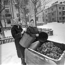 Пищевые отходы | ЖКХ. 1980-e гг., г.Северодвинск. Фото #C16286.