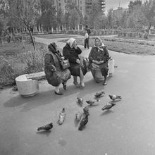 На лавочке | Горожане. 1980-e гг., г.Северодвинск. Фото #C17153.