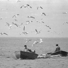 Рыбаки в море | Горожане. 1980-e гг., г.Северодвинск. Фото #C2956.