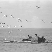 Рыбаки в море | Горожане. 1980-e гг., г.Северодвинск. Фото #C2957.