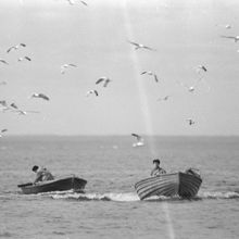 Рыбаки в море | Горожане. 1980-e гг., г.Северодвинск. Фото #C2958.