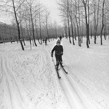 Физкультура на лыжах | Школа. 1980-e гг., г.Северодвинск. Фото #C12179.