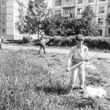 Покос травы | ЖКХ. None, г.Северодвинск. Фото #C16450.