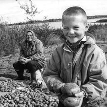 Копка картофеля | Горожане. 1990-e гг., г.Северодвинск. Фото #C11418.