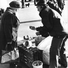 Продажа картофеля | Горожане. 1990-e гг., г.Северодвинск. Фото #C4455.