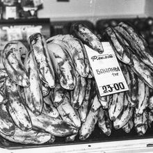 Бананы на прилавке | Торговля. 1990-e гг., г.Северодвинск. Фото #C7879.
