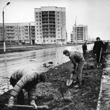 Озеленение | Виды города. 1990-e гг., г.Северодвинск. Фото #C4645.