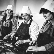 Женщины у конвеера с рыбой | Предприятия. 1990-e гг., г.Северодвинск. Фото #C5276.