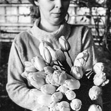 Овощевод с тюльпанами | Предприятия. 1990-e гг., г.Северодвинск. Фото #C7052.